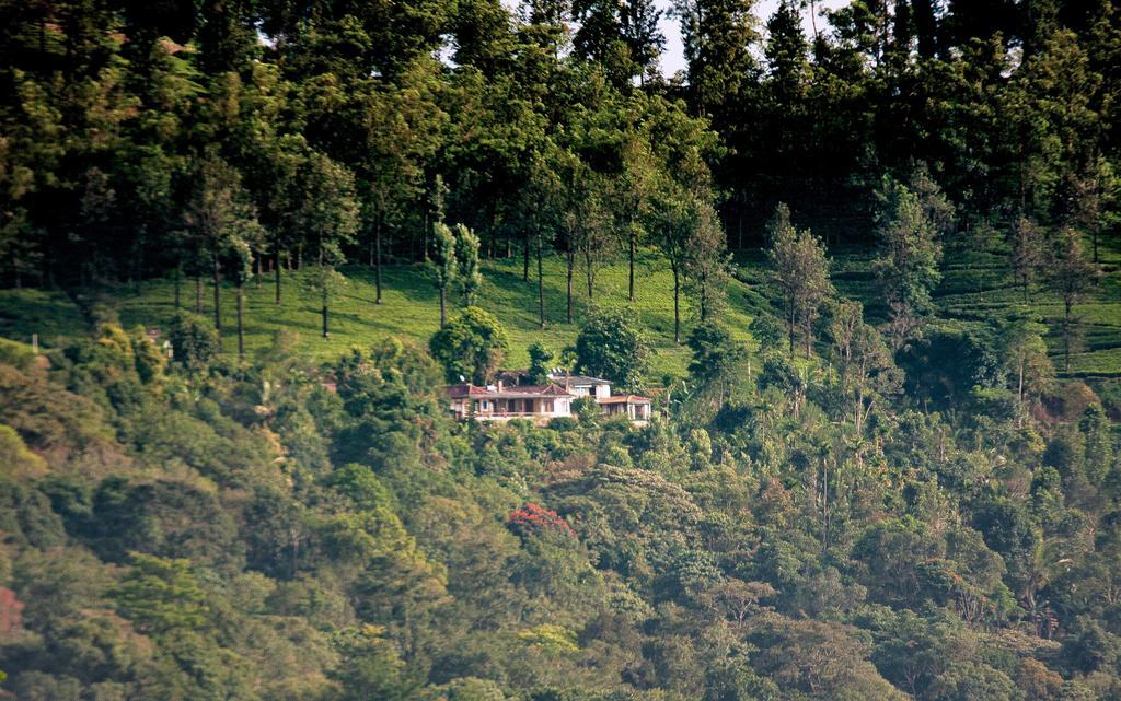 Hotel Rangala House à Digana Extérieur photo