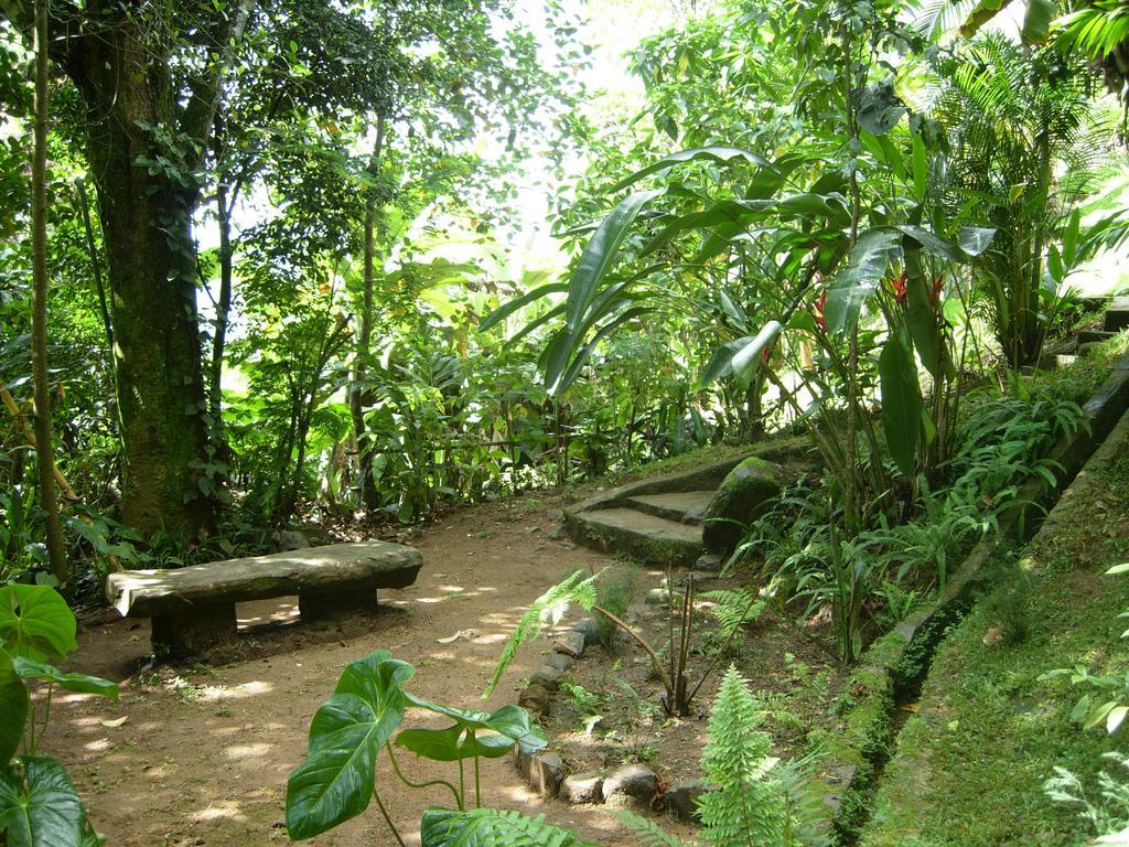 Hotel Rangala House à Digana Extérieur photo