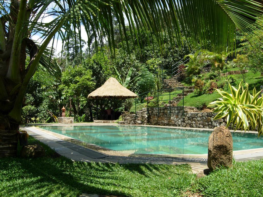 Hotel Rangala House à Digana Extérieur photo