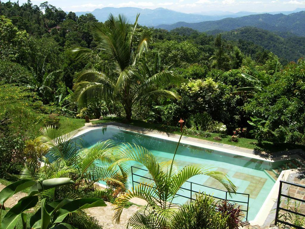 Hotel Rangala House à Digana Extérieur photo